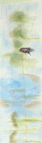 Thirteen Ways of Looking at a Red-winged Blackbird 6 – 3.5" x 12" – Pastel on archival paper – $275