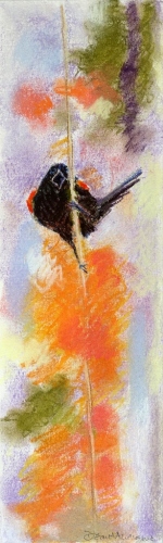 Thirteen Ways of Looking at a Red-winged Blackbird 7 – 3.5" x 12" – Pastel on archival paper – $275