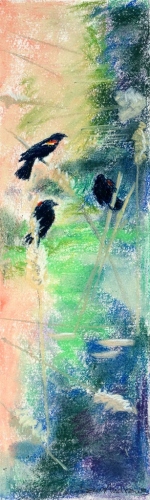 Thirteen Ways of Looking at a Red-winged Blackbird 10A – 3.5" x 12" – Pastel on archival paper – $275