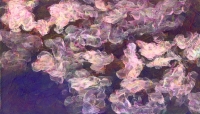 Strata XXXII – 8" x 14" – Acrylic on 1" Plexiglas – $2,000