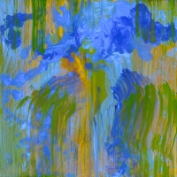 instead-of-one-head-12x12